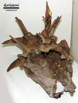 تنه درخت طبیعی آکواریوم گیاهی شماره ۵