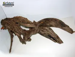 تنه درخت طبیعی آکواریوم گیاهی شماره ۱