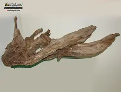 تنه درخت طبیعی آکواریوم گیاهی شماره ۱
