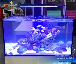 نور ال ای دی آب شور فول ۶۶۰۰ زتلایت