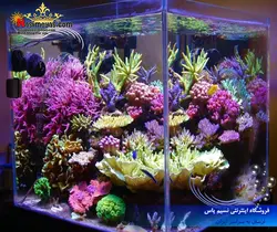 نور ال ای دی آب شور فول ۶۶۰۰ زتلایت