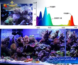 نور ال ای دی آب شور فول ۳۶۰۰ زتلایت