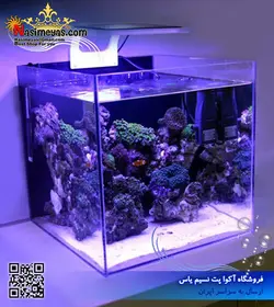 نور ال ای دی آب شور نانو ZN-1702 زتلایت