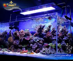 نور ال ای دی آب شور حرفه ای zs7200 زتلایت