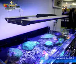 نور ال ای دی آب شور فول zs7000 زتلایت