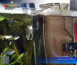 راکتور هچ و پرورش آرتمیا زنده ناپلی استار
