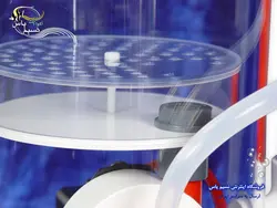 مینی اسکیمر بابل کینگ ۲۰۰-v12 رویال اکسکلوسیو