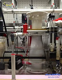 اسکیمر بابل کینگ Double Cone 180 رویال اکسکلوسیو