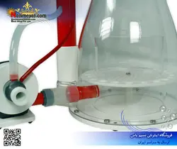 اسکیمر بابل کینگ Double Cone 180 رویال اکسکلوسیو