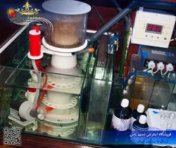 اسکیمر بابل کینگ Supermarin 250 با کنترلر RD3 رویال اکسکلوسیو