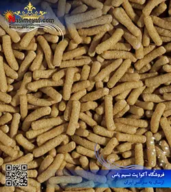 استیک کوی و گلدفیش با جوانه گندم و عصاره سیر ۱۰۰۰ میل تروپیکال