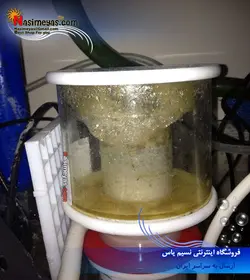 پروتئین اسکیمر مخروطی C7 بابل ماگوس