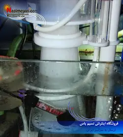 پروتئین اسکیمر مخروطی C7 بابل ماگوس