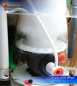 پروتئین اسکیمر مخروطی C7 بابل ماگوس