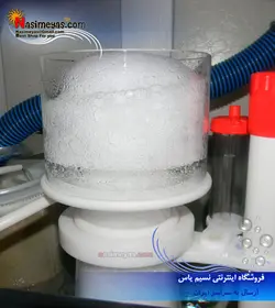 پروتئین اسکیمر مخروطی C7 بابل ماگوس