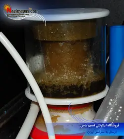 پروتئین اسکیمر E5 بابل ماگوس