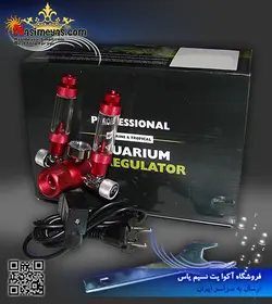 مانومتر و رگلاتور co2 مدل دو خروجی ST02-1 پرفشنال