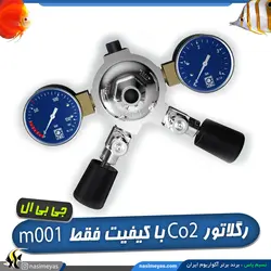 رگلاتور Co2 پروفلورا دو خروجی m001 جی بی ال