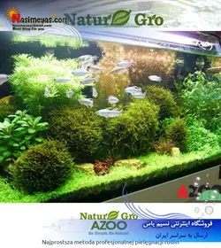 کود محلول کربن آلی گیاهان آبزی تروپیکال