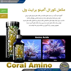 محلول کورال آمینو مرجانی برایت ول