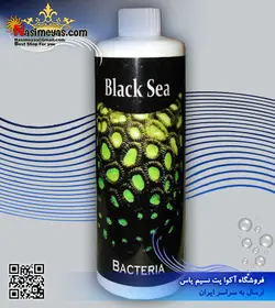 محلول باکتری زنده ۲۵۰ میل بلک سی