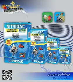 محلول باکتری زنده نیتری داک پروداک