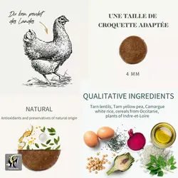 غذای خشک بچه گربه با طعم مرغ کیتن بابین