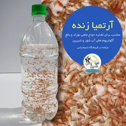 آرتمیا زنده بسته 1 لیتری