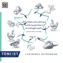 غذای خشک هایپو آلرژنیک گربه بالغ تونی وت