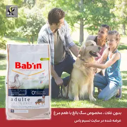 غذای خشک بدون غلات سگ بالغ با طعم مرغ بابین