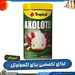 غذای استیکی کامل اکسولوتل تروپیکال