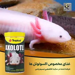 غذای استیکی کامل اکسولوتل تروپیکال