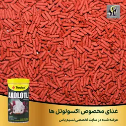 غذای استیکی کامل اکسولوتل تروپیکال