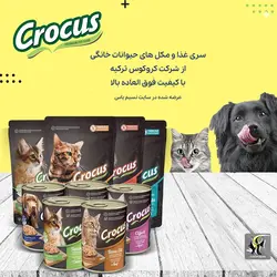 غذای کنسرو سگ بالغ با گوشت گاو کروکوس