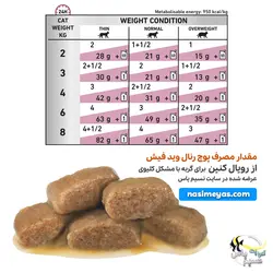 غذای پوچ رنال با مرغ برای گربه با مشکل کلیه رویال کنین