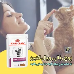 غذای پوچ رنال با مرغ برای گربه با مشکل کلیه رویال کنین