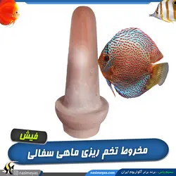 مخروط تخم ریزی دیسکس و آنجل سفالی GH-73