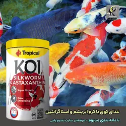 غذای کوی سیلک ورم کرم ابریشم و آستاگزانتین مدیوم تروپیکال