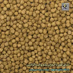 غذای کوی سیلک ورم کرم ابریشم و آستاگزانتین مدیوم تروپیکال