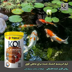 غذای کوی کرم ابریشم خشک شده سیلک ورم تروپیکال