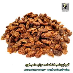 غذای کوی کرم ابریشم خشک شده سیلک ورم تروپیکال