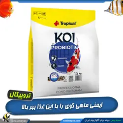 غذای پروبیوتیک لارج بهبود گوارش و ایمنی ماهی کوی تروپیکال