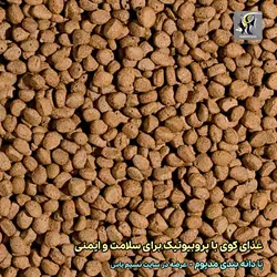 غذای پروبیوتیک مدیوم بهبود گوارش و ایمنی ماهی کوی تروپیکال