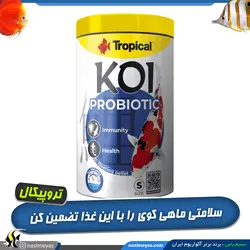 غذای پروبیوتیک اسمال بهبود گوارش و ایمنی ماهی کوی تروپیکال