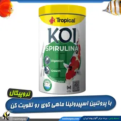 غذای گرانول کوی اسپیرولینا مدیوم ماهی کوی تروپیکال