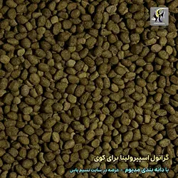 غذای گرانول کوی اسپیرولینا مدیوم ماهی کوی تروپیکال