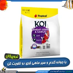 غذای کوی با جوانه گندم و عصاره سیر گرانول لارج تروپیکال