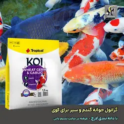 غذای کوی با جوانه گندم و عصاره سیر گرانول لارج تروپیکال