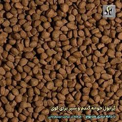 غذای کوی با جوانه گندم و عصاره سیر گرانول مدیوم تروپیکال