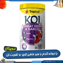 غذای کوی با جوانه گندم و عصاره سیر گرانول مدیوم تروپیکال